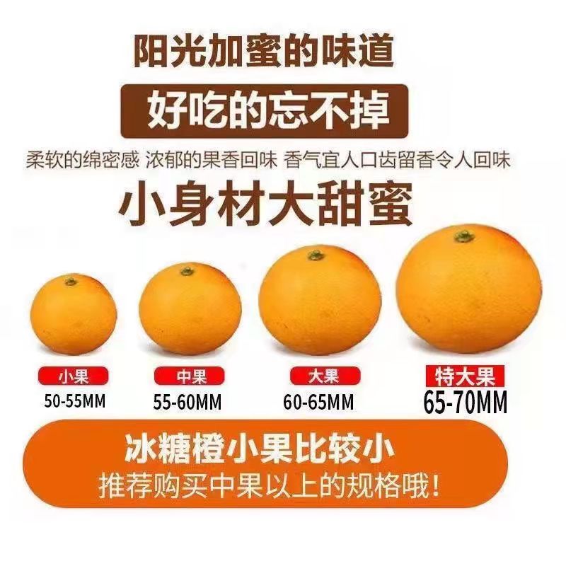 湖南麻阳〔锦蜜〕纯甜冰糖橙自家果园直销现摘现发