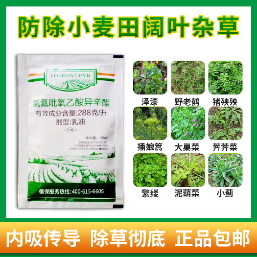 郑州氯氟吡氧乙酸 FLUROXYPYR 杂草 低毒