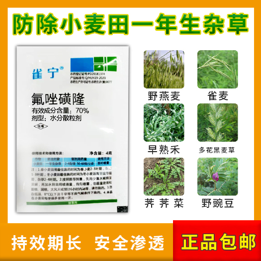郑州70%氟唑磺隆小麦田狗尾草雀麦野燕麦看麦娘除草剂一年生杂草