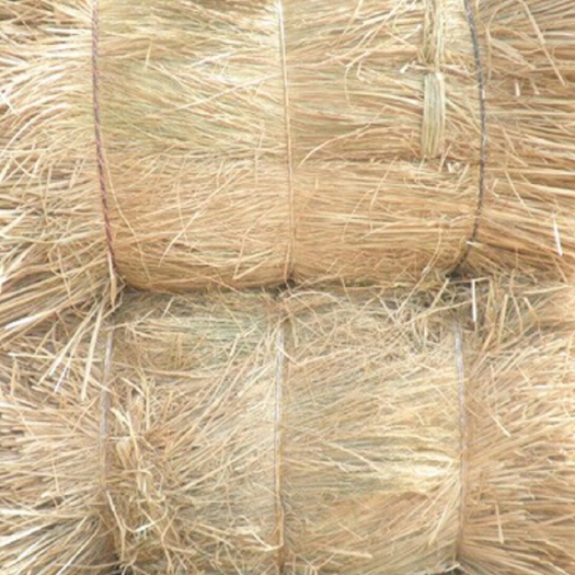 宾阳县 干稻草