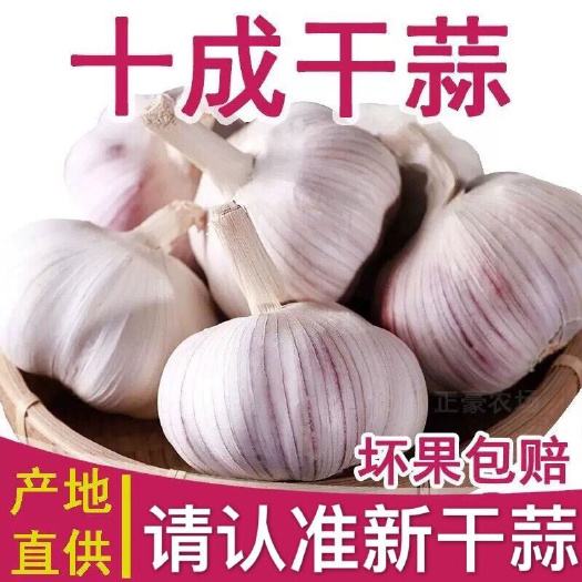 红皮蒜  大蒜，大干蒜，包邮包售后坏果包赔一件代发微商电商对