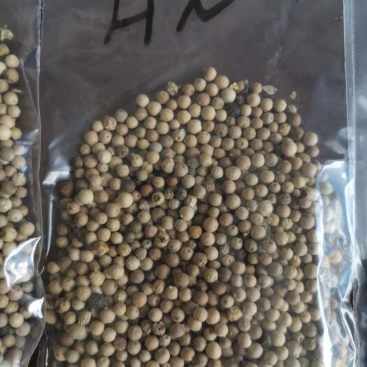 中牟县 海南白胡椒，精选等级，白石溪品牌，优质产地农产品。