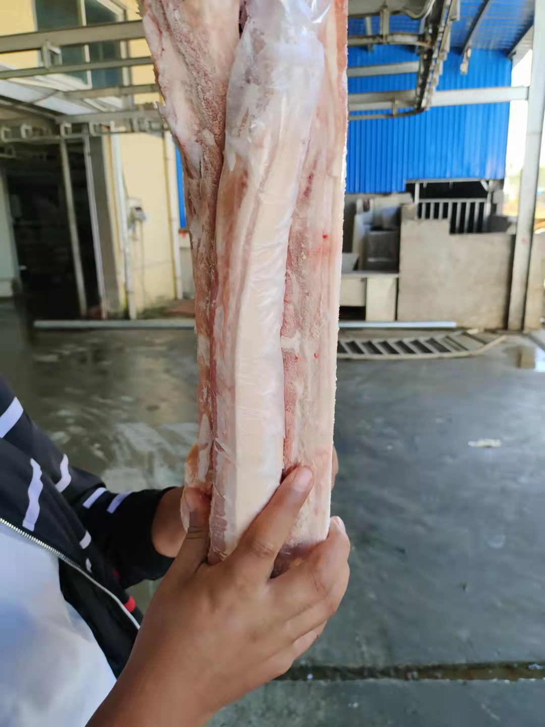 猪肉类  肥猪五花 国产肥猪带皮五花，新货，十公斤四五片左右