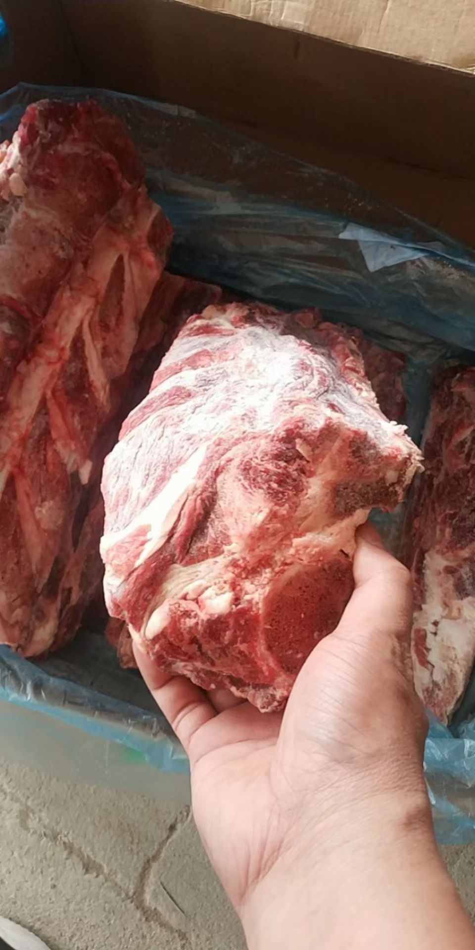 牛骨 脊骨 肩胛骨 满肉肩胛骨 多肉肩胛骨