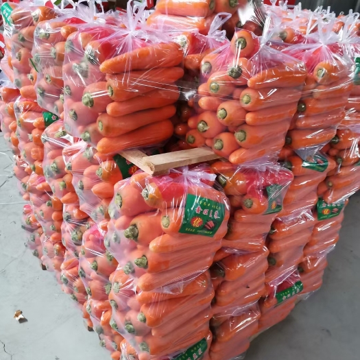 莘县三红胡萝卜  精品胡萝卜！各种蔬菜！