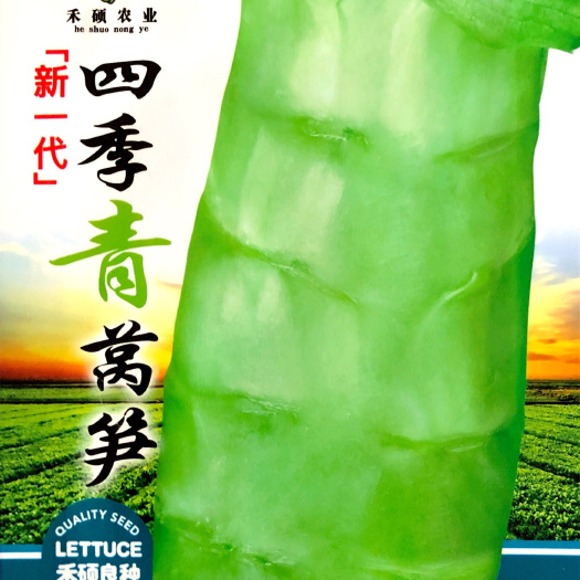 沭阳县 家庭种植瓜果蔬菜种子 青莴笋种子