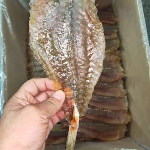 东港市 安康鱼烤鱼片