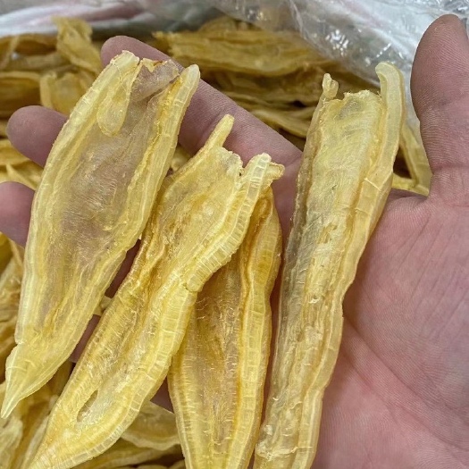 广州花胶  50-60-70-100头双背胶520/斤足干货整件走货再议