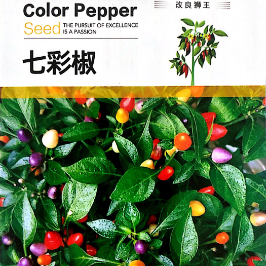 沭阳县 家庭种植瓜果蔬菜种子 七彩辣椒种子