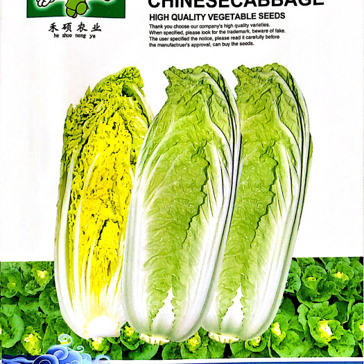  家庭种植瓜果蔬菜种子 娃娃菜种子