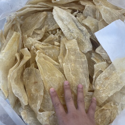 广州花胶 巴沙片28头118/斤