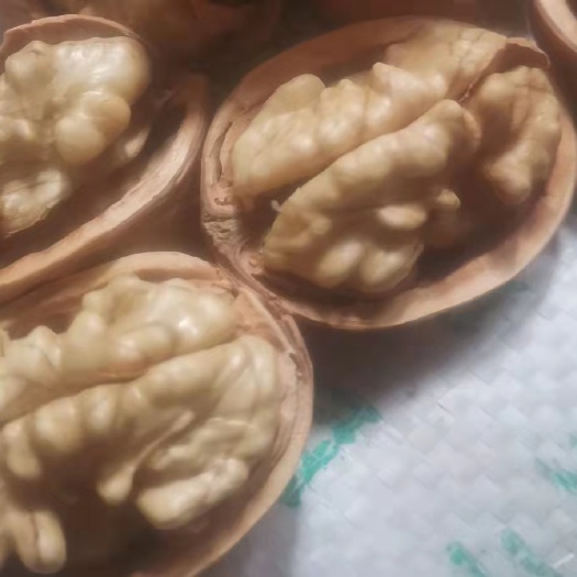 温宿县新疆薄皮核桃