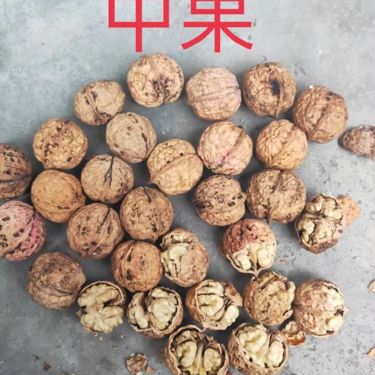 成都 云南麻子核桃中果