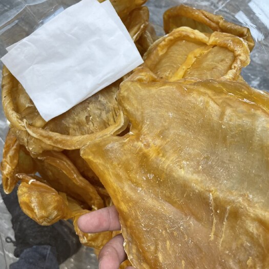 广州A货，厚肉，黄花胶片4头2396/斤