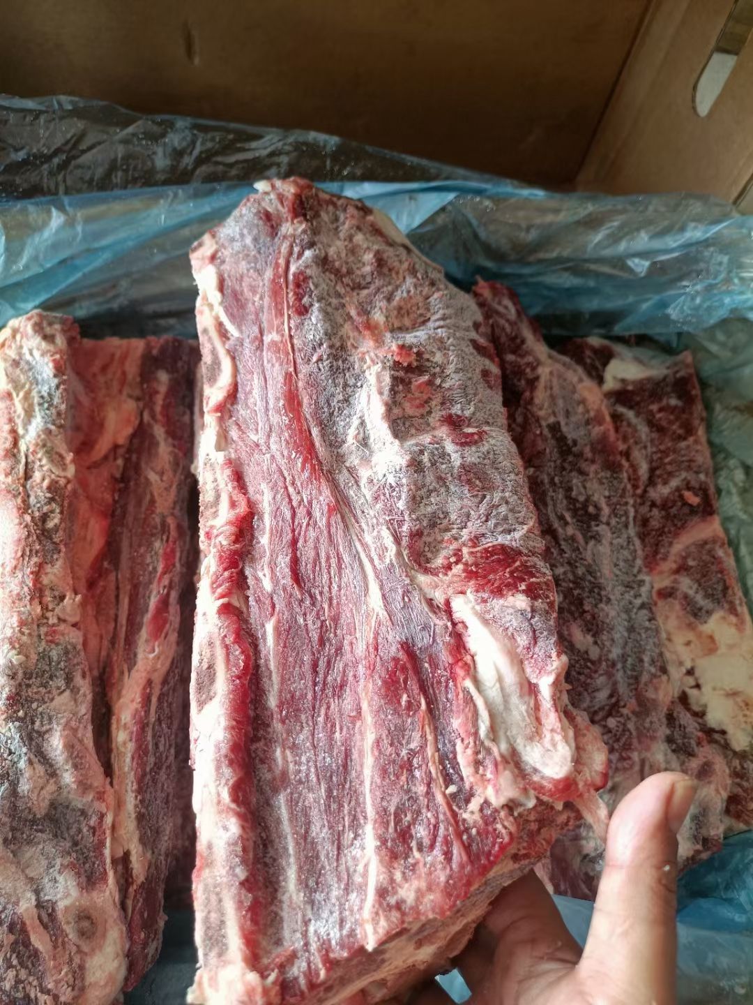 牛骨 脊骨 肩胛骨 满肉肩胛骨 多肉肩胛骨