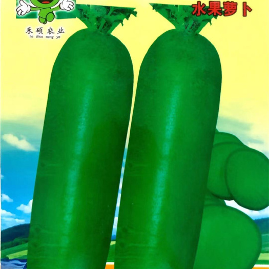 沭阳县 家庭种植瓜果蔬菜种子 甜脆水萝卜种子