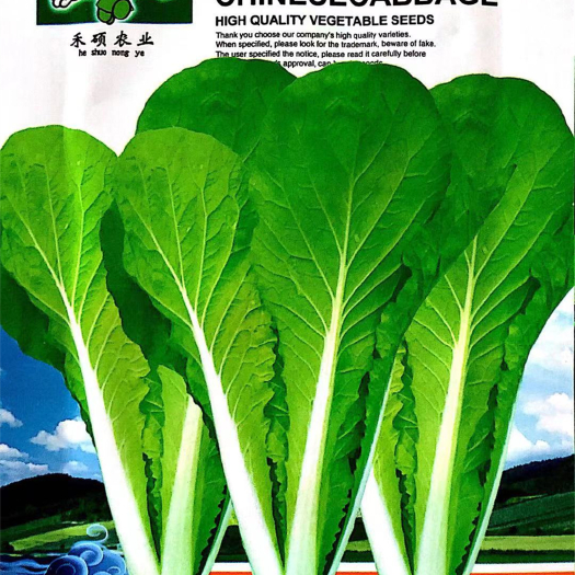  家庭种植瓜果蔬菜种子 四季奶油小白菜种子