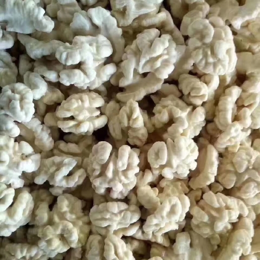 洛南县 取皮核桃仁