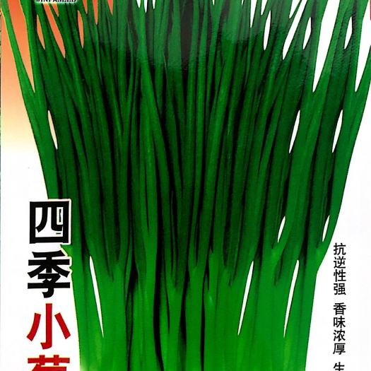 沭阳县 家庭种植瓜果蔬菜种子 四季小香葱种子
