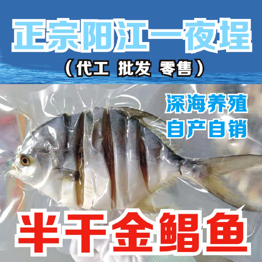阳江阳江一夜埕半干金鲳鱼 金鲳鱼干 深海金鲳鱼