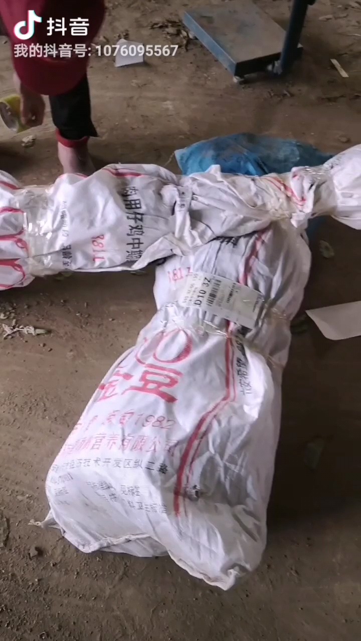 黄金脆2号黄桃，属极早熟黄桃新品种，平均果重180克以上。