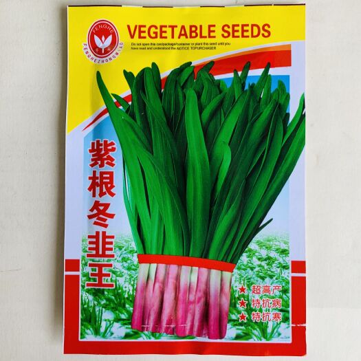 临沂紫根韭菜种子四季种籽子根红根宽叶根苗蔬菜苗籽种孑大叶籽大全