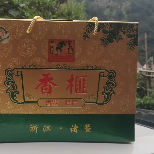 诸暨市千年树香榧果实