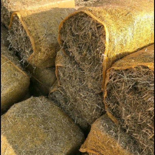 清徐县玉米秸秆 大量预订玉米揉丝秸秆草块，11月10日左右陆续发货，二次除尘