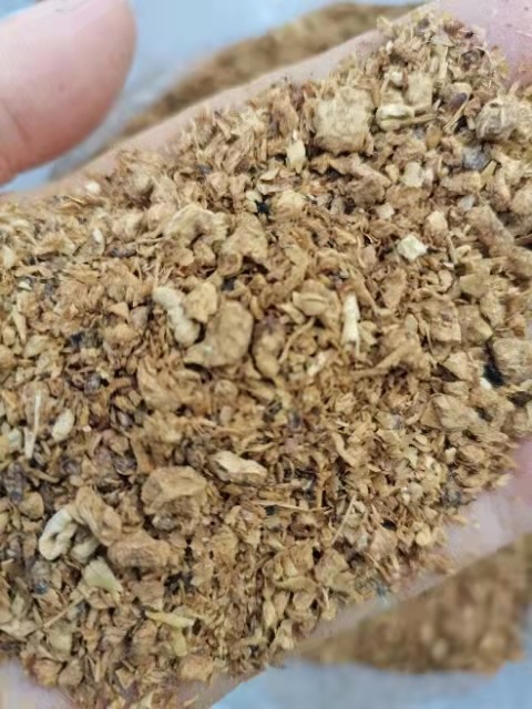 寿光市食用菌渣  山东烘干蘑菇渣，一车装27吨，蛋白8，灰份10，水份15