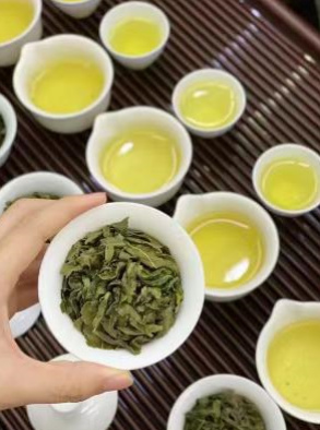 安溪县安溪铁观音茶叶 铁观音新茶浓香型铁观音250克礼盒装