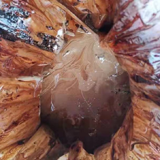 石泉县生漆，自家山上割的生漆，没有任何添加，