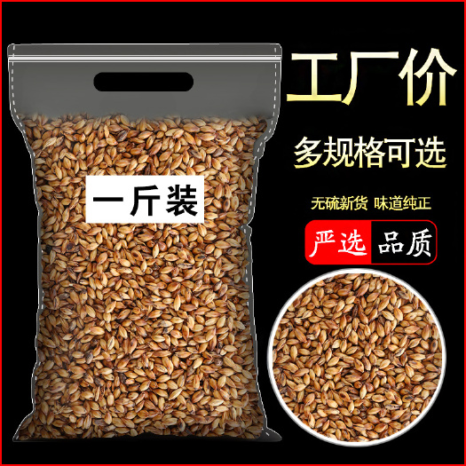 安国市大麦茶饭店商用回奶熟粒清香型非日本韩国大麦茶