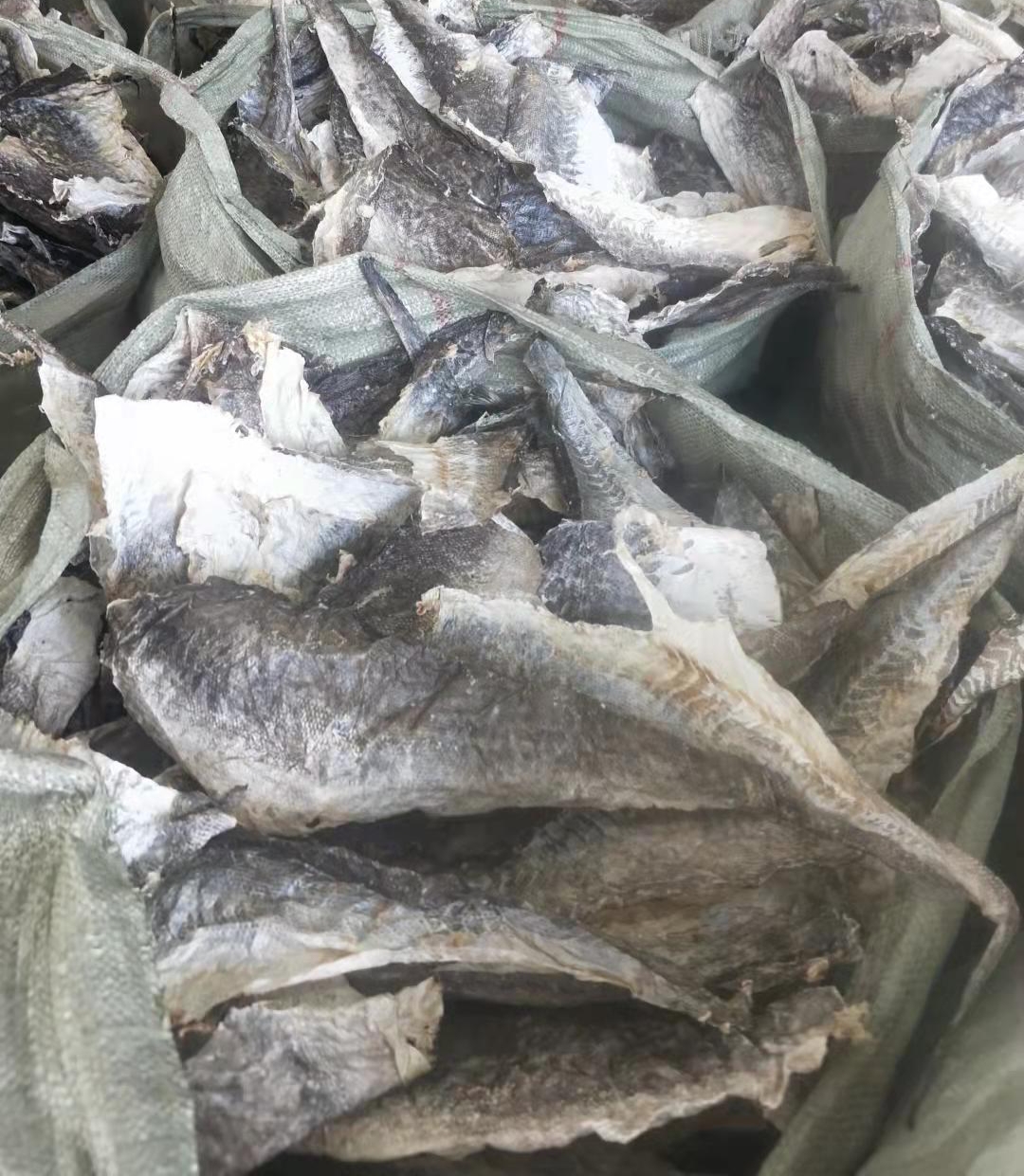鱼皮干明太鱼干真雪鱼皮鱼皮干明太鱼干真雪鱼皮