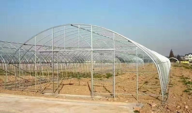 沭阳县大棚骨架 养殖和种植用于一体，投资少，见效快