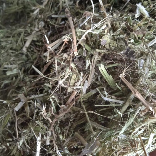 阜阳花生秧  花生秸秆
