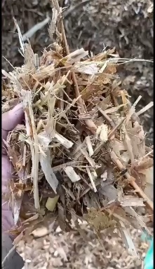 宿州玉米青贮  春雨秸秆加工厂大量销售玉米青储饲料，欢迎新老客户洽谈订购。