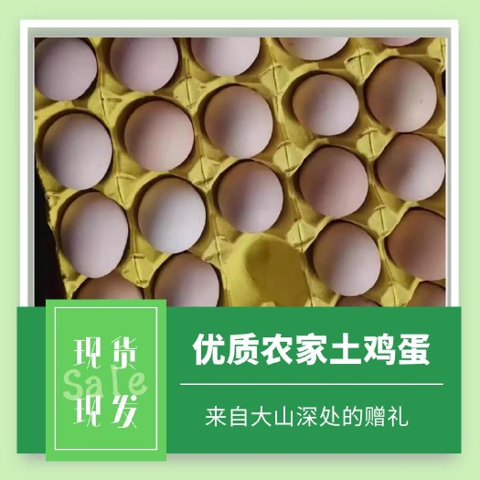 粉壳蛋  【批发土鸡蛋】代发，土鸡蛋，柴鸡蛋，笨鸡蛋珍珠棉内