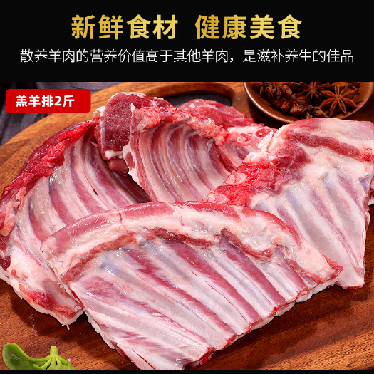包头苏尼特羊排肉整排散牌排