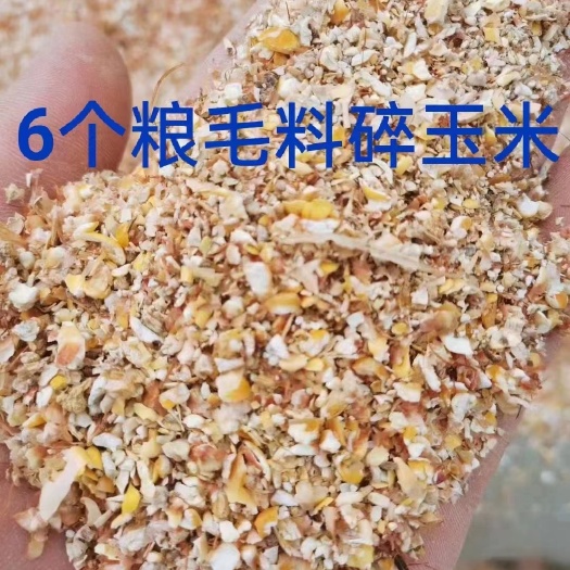郓城县玉米渣 毛粮碎玉米，无土无沙无霉变