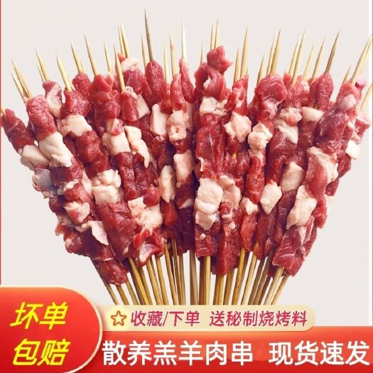 连云港羊肉串烧烤秘腌制手工现串羊肉串调理羊肉串烧烤食材