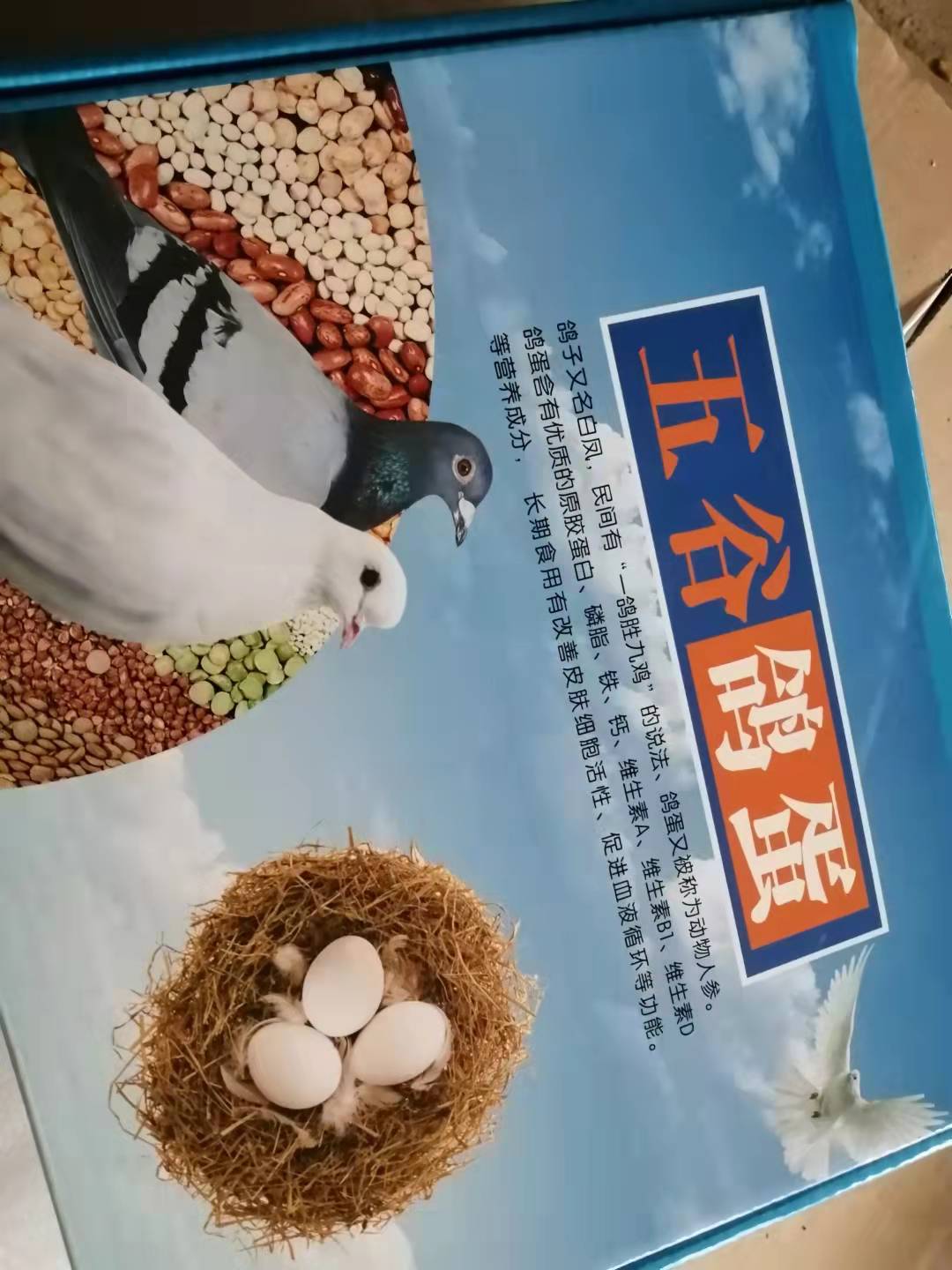 莘县新鲜鸽子蛋     礼盒包装 批发 零售都支持