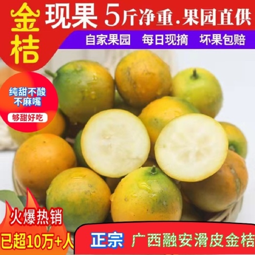 融安县【超甜不麻嘴】广西融安滑皮金桔新鲜水果现摘应季孕妇小桔子金橘