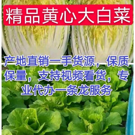 供吉林白城地区白菜，大白菜及萝卜等蔬菜