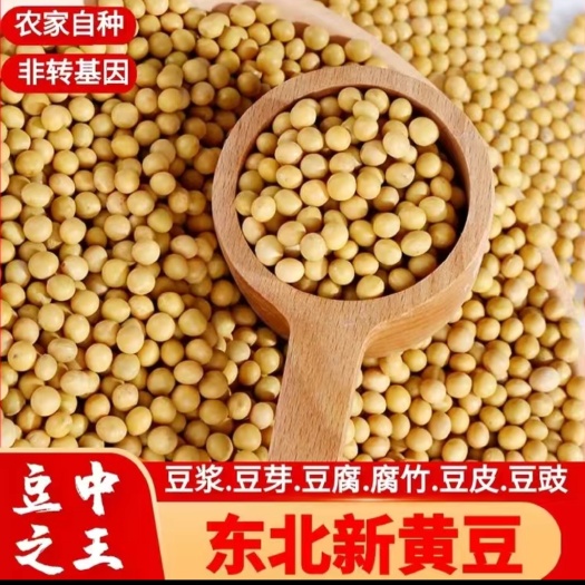 海林市大豆  东北新黄豆