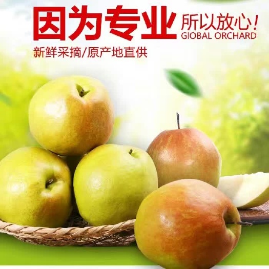 隰县玉露香梨，