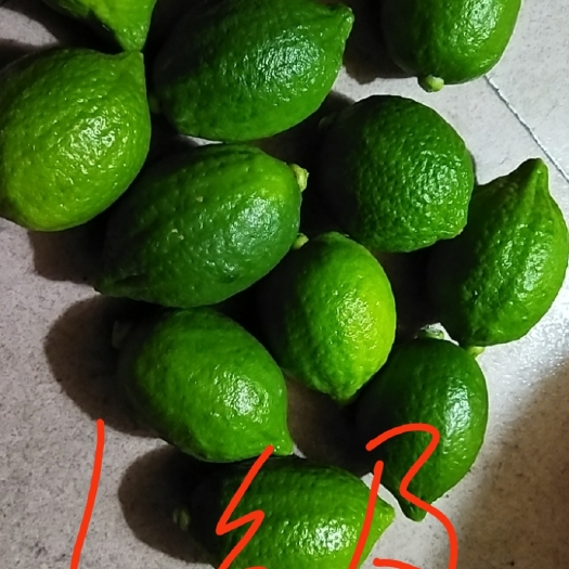 广州 广东无籽香水柠檬，自产自销。