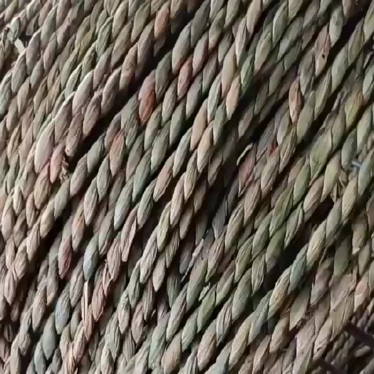 安新县蒲黄 蒲草绳