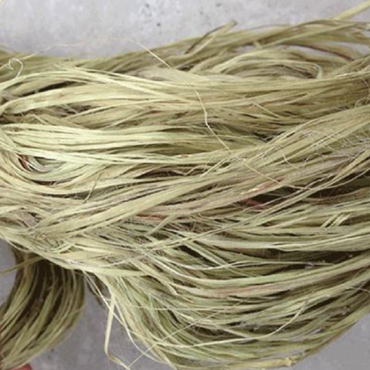 重庆市苘麻 本人现已种植200亩青麻