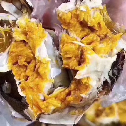 山螃蟹  精品普货残蟹市场直供请联系我感兴趣的话点“我想要”和我私聊