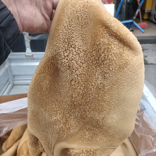 郑州全熟五香鲜牛肚，质量保证，实拍，可大量加工，全国直发